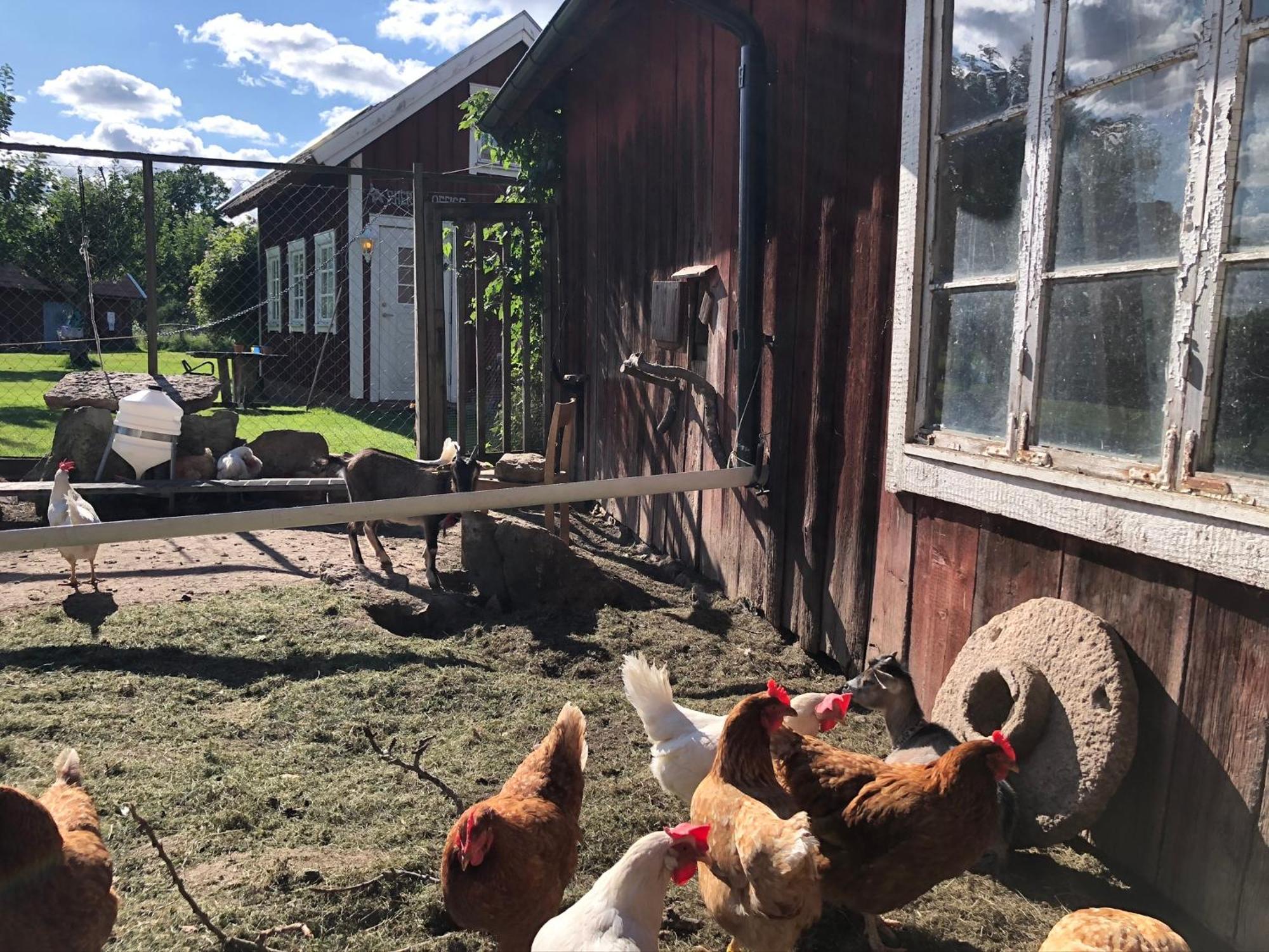 Aeventyrsgardens Vandrarhem, Kinnekulle Kallby Bagian luar foto