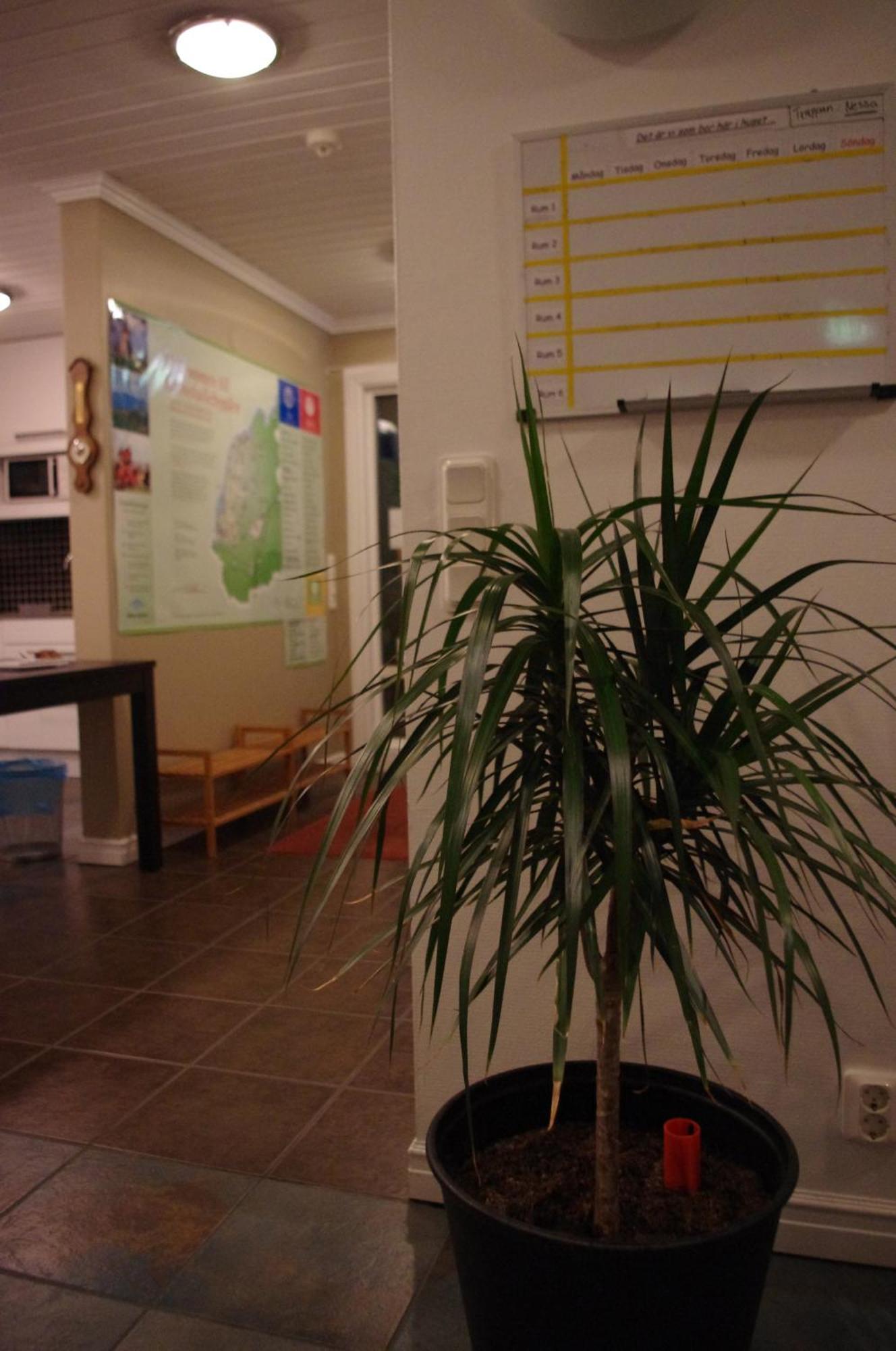 Aeventyrsgardens Vandrarhem, Kinnekulle Kallby Bagian luar foto