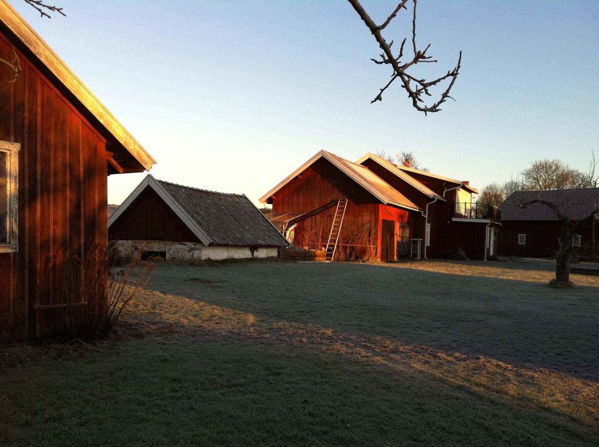Aeventyrsgardens Vandrarhem, Kinnekulle Kallby Bagian luar foto