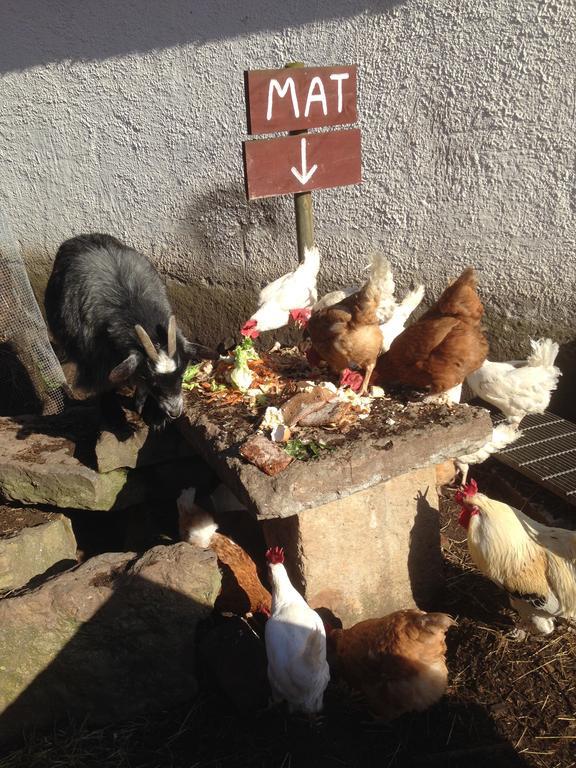 Aeventyrsgardens Vandrarhem, Kinnekulle Kallby Bagian luar foto