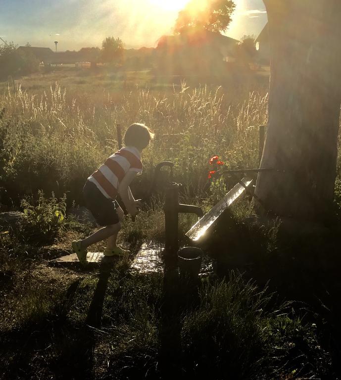 Aeventyrsgardens Vandrarhem, Kinnekulle Kallby Bagian luar foto